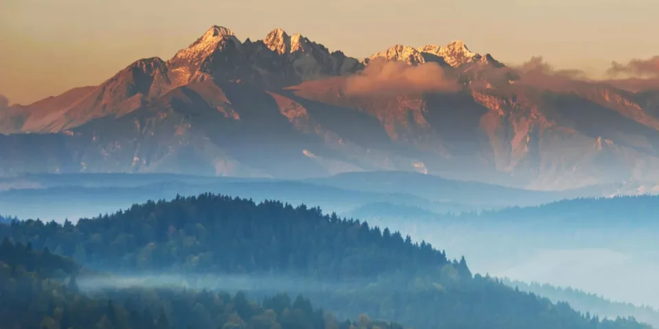 Adwokat Warszawa Praga: Kompleksowa pomoc prawna na wschodzie stolicy